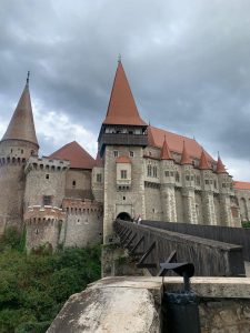 318611801_5589475197795799_1232075747482463040_n