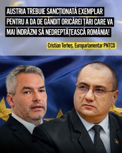 319176906_590335266431425_5458545020042832072_n