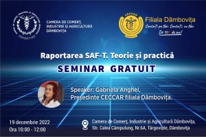 Raportarea SAF-T. Teorie și practică