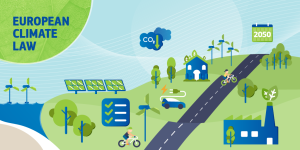 192301663_334808551349564_4182573090517553159_n