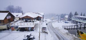 324562623_1486139685207903_815413298416540939_n