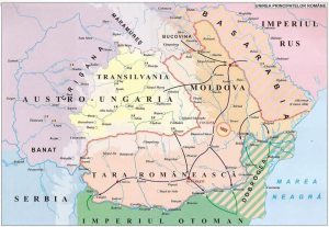 327205633_899227491260446_3272031321834399687_n