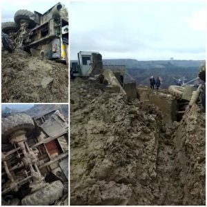 badcdb81265ced1f2f942678c8a36defmaxim