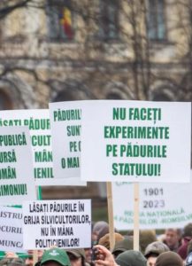 328509250_451698490415131_3711529750268886235_n