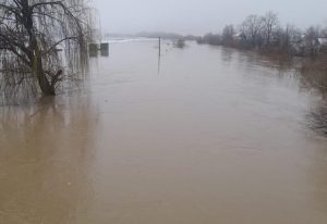 92AEF43F-2B13-45C0-B0F1-AEED87E3686B-640x440