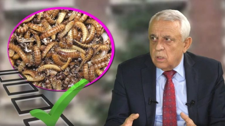 Recomandarea-lui-Petre-Daea-dupa-ce-UE-a-aprobat-larva-gandacului-de-balegar-drept-aliment.-Noi-stim-ce-mancam-1024x683