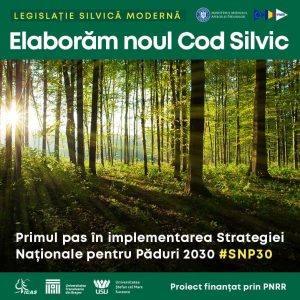 331138261_1025825455067456_3885815113320478388_n