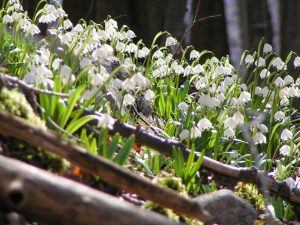 336649177_188756870576797_5597010665740818094_n