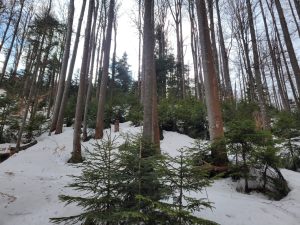 336792935_453184980296344_411551767955276108_n