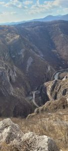 337502778_947843716216314_7242633287170085324_n