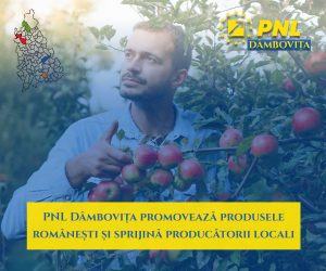 Fotografie Comunicat de presa