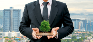 apeluri pentru mediu in 2023