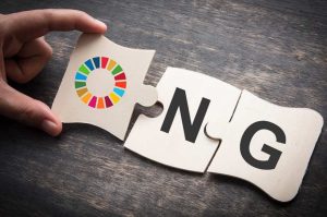 camera de comert dambovita - fianntare ong-uri