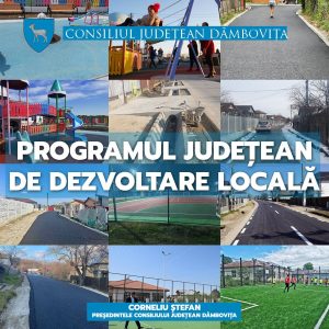 programul judetean de dezvoltare locala