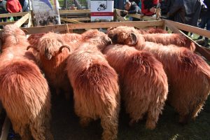 309229729_10220697580701461_3033908969830365979_n