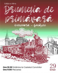 336781063_771200617706961_7368708898462094481_n