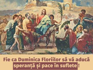 338898813_918033772578179_838700538877520898_n