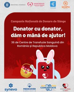 339636403_564735919025281_2959184152382142042_n