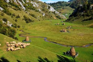 339725393_613855870238060_2857409638828849766_n