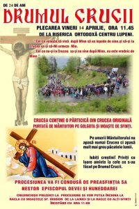 340120068_922247505711767_6672453080761660839_n