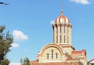 WhatsApp Image 2023-04-11 at 12.16.08