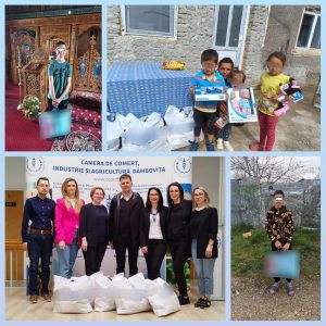 camera de comert dambovita 1