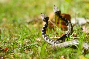 344868845_6569024909777064_458550383250153883_n