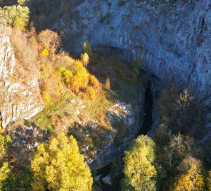 350540020_253791203901037_2231701999644322176_n