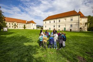 Bonchida_Elokeszitosok