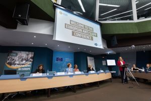 EP-138520A_Metsola_Anti_slapp