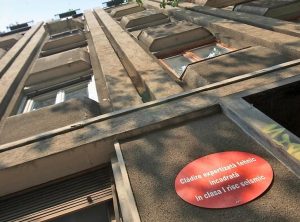 347266727_217694604480321_4348850720112073854_n