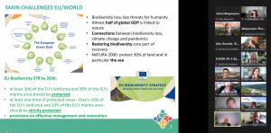 347552048_651395207014680_2388968369303174345_n