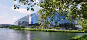 347595697_643097504517586_6821022195016494957_n