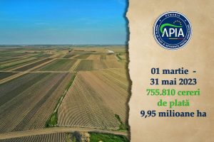 Two textured background and blue paper mockup