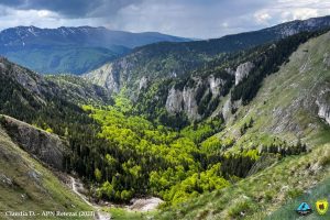 356247799_584294977183350_1646303259157578483_n