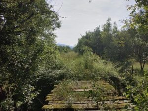 356400337_566805908999027_7641415004874897550_n