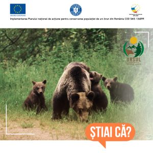 316310413_146726468107685_6450678750511659545_n