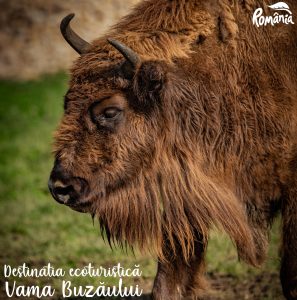 355506702_580095924297958_6719432925419235735_n