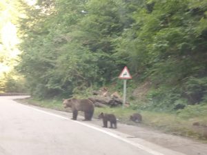 359705797_229891583290185_764930474783865182_n