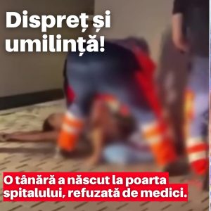 362278815_235662379379933_4670318151963705522_n