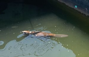 362624300_592861629688137_2740393861093076560_n