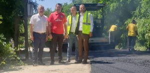 Corneliu Stefan - Razvad