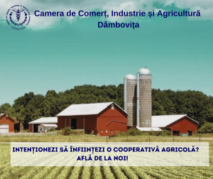 camera de comert dambovita - infiintare cooperativa agricola