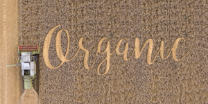 cepresupuneagriculturaecologicabiogama.ro_wp