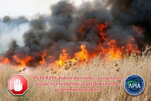 foc-incendiu-vegetatie-1024x682