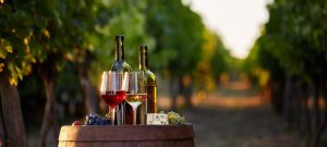 iStock-871519520-1920x864