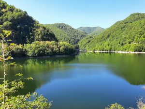 294483984_5884974024865430_901580898963975740_n