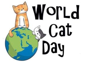 298185081_6037836536229748_60935044585775371_n