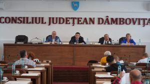 consiliul judetean dambovita - sedinta