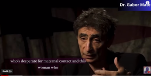 gabor mate 1